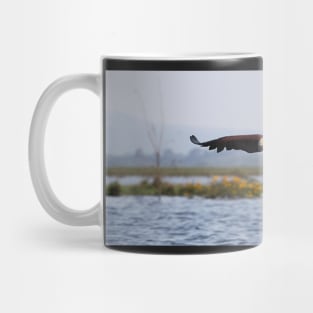 Africa Fish Eagle Swoops, Lake Naivasha, Kenya Mug